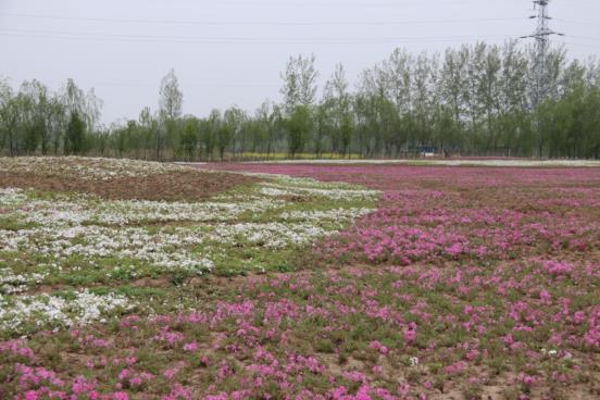 c5ad254223ded7b556402b884c0e8ca